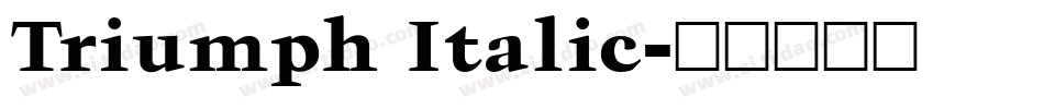 Triumph Italic字体转换